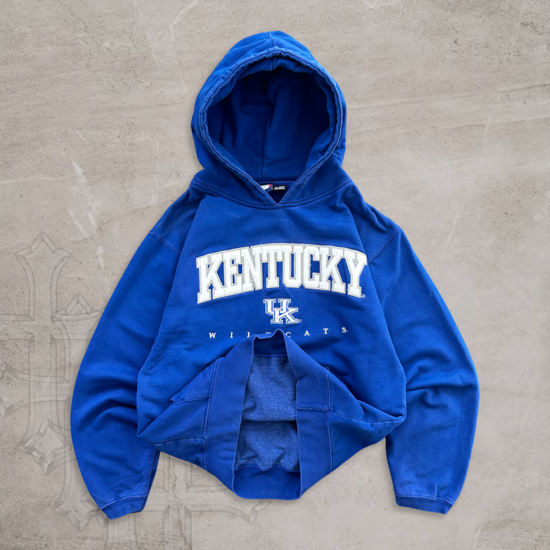 Blue Kentucky Wildcats Hoodie Y2K 2000s (M)